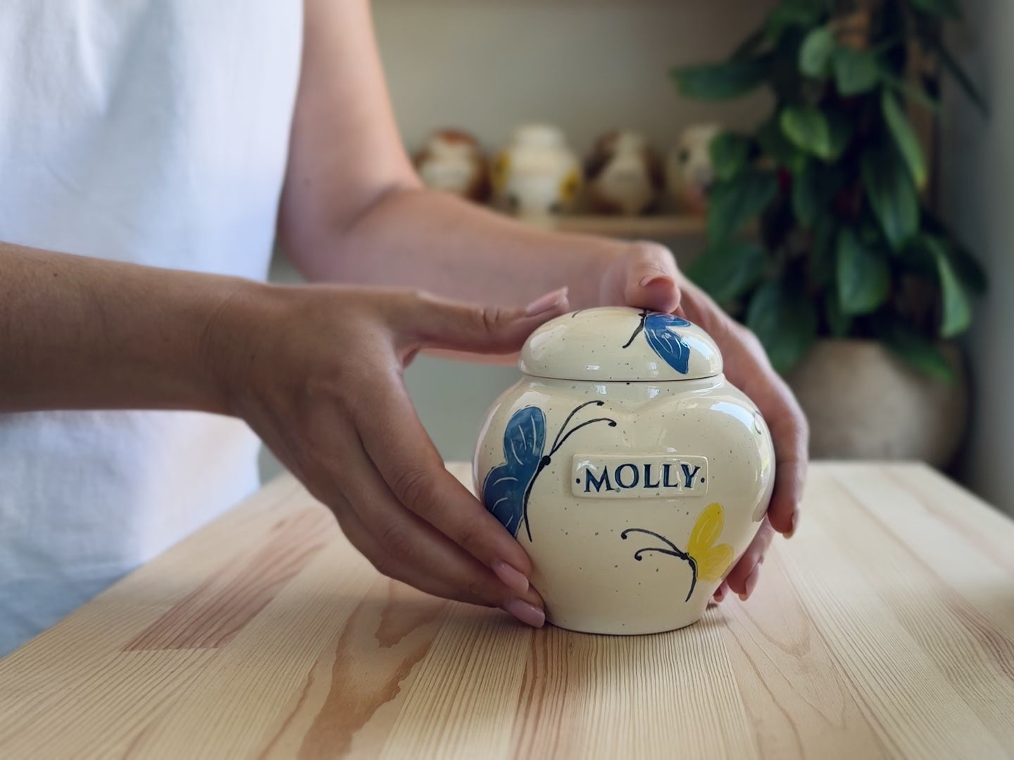 Butterfly Heart-Shaped Ceramic Pet Urn – Pet Memorial or Human Keepsake Urn