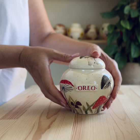 Video showcase of the hand-painted mushrooms heart urn